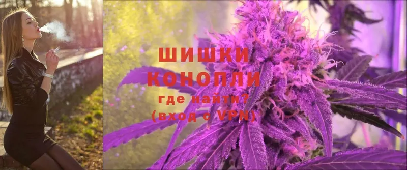 купить закладку  Камышлов  Каннабис Ganja 